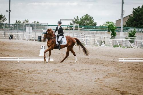 Horse and rider circling corral